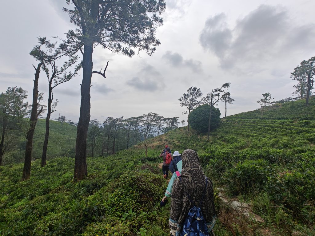 Pekoe Trail (Phase 1) – SEZ Adventure Club