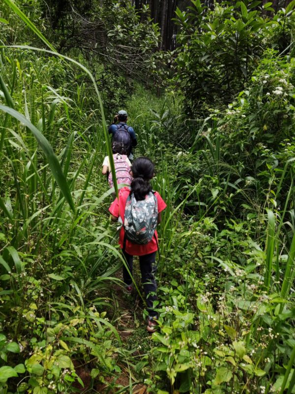 Pekoe Trail (Phase 2) – SEZ Adventure Club