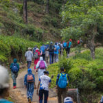 Pekoe Trail (Phase 3) – SEZ Adventure Club