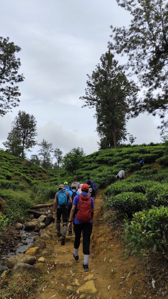 Pekoe Trail (Phase 5) – SEZ Adventure Club
