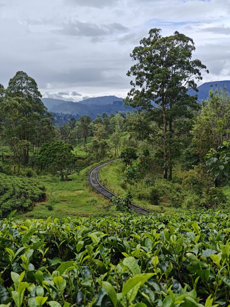 Pekoe Trail (Phase 6) – SEZ Adventure Club
