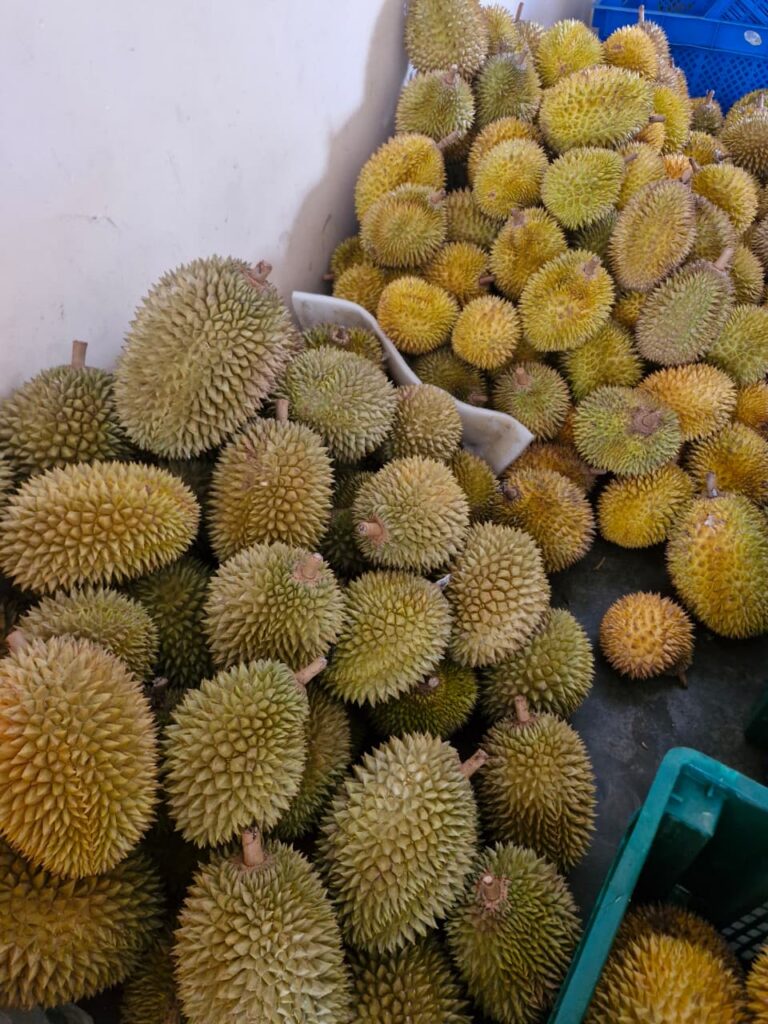 Durian Fiesta 2026